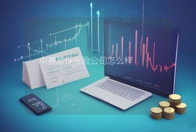 中賽順保保險公司在計算機軟硬件的技術開發與銷售領域的發展與優勢